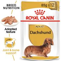 Royal Canin Breed Health Nutrition Dachshund Adult (Wet Food - Pouches) - thumbnail