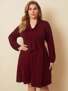 YOINS Plus Size V-neck Tie-up Design Long Sleeves Dress