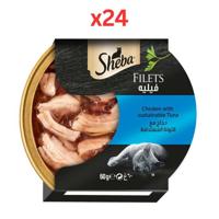 Sheba Filets Chicken & Tuna Wet Cat Food 60G (Pack of 24)