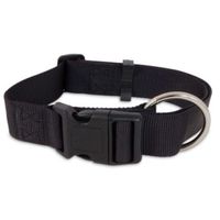 Petmate Nylon Adjustable Dog Collar 5/8 Inch X 10 - 16 Inch, Black