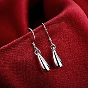 Women's Drop Earrings Drop Silver Plated Earrings Jewelry Silver For Casual Daily miniinthebox