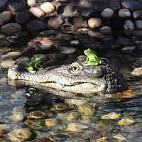 Crocodile Head Garden Pond Floating Animal Ornaments Park Pool Simulation Garden Decor miniinthebox - thumbnail