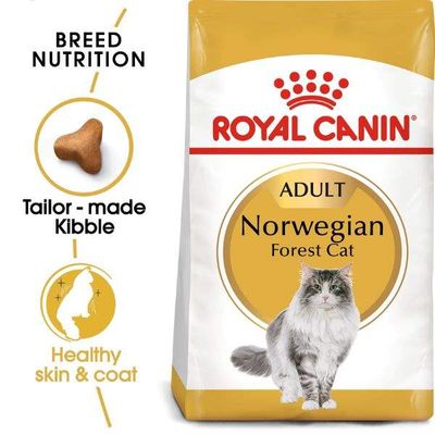 Royal Canin Feline Breed Nutrition Norwegian Forest Cat Adult 2 Kg Dry Cat Food