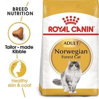 Royal Canin Feline Breed Nutrition Norwegian Forest Cat Adult 2 Kg Dry Cat Food - thumbnail