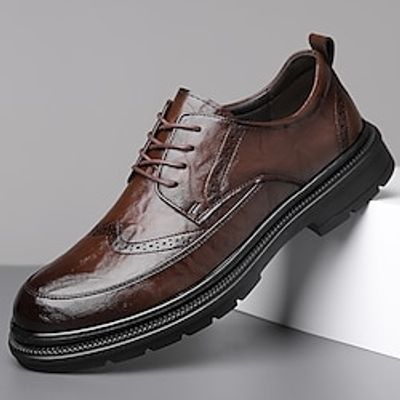 Men's Oxfords Retro Walking Casual Daily Leather Comfortable Booties / Ankle Boots Loafer Dark Brown Black Spring Fall miniinthebox
