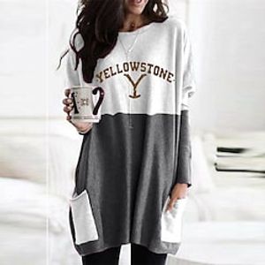 Women's T Shirt Dress Tee Dress Short Mini Dress Blue Gray Fuchsia Khaki Dark Gray Long Sleeve Color Block Letter Pocket Print Fall Winter Crew Neck Casual Modern 2022 S M L XL XXL 3XL 4XL 5XL miniinthebox