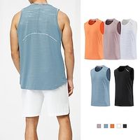 Men's GYM Tank Running Tank Workout Tank Men Tops Tank Crew Neck Sleeveless Sports  Outdoor Vacation Going out Casual Daily Quick dry Breathable Soft Plain Black White Activewear Fashion Sport Lightinthebox - thumbnail