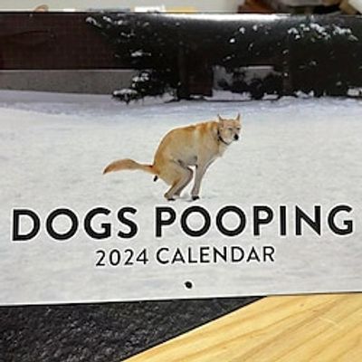 2024 Dog Pooping Calendar, Dogs Pooping Wall Calendar, January 2024 From December Monthly Wall Calendar, Funny Wall Gag Humor Gift Calendar Lightinthebox