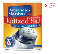 American Garden Iodized Salt 737gm (Pack of 24)