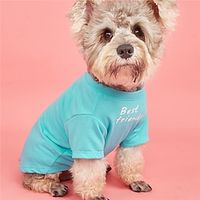 Pet Tee Best Friends Letter Print Text Dog Tee For Small  Medium Dog Soft Cute Funny Dog Clothes Print Shirts For Pets Lightinthebox - thumbnail