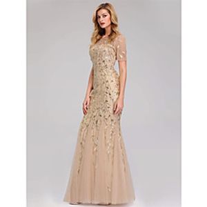 Mermaid / Trumpet Empire Elegant Party Wear Formal Evening Dress Jewel Neck Short Sleeve Floor Length Tulle with Embroidery 2021 / Illusion Sleeve miniinthebox