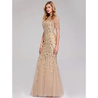Mermaid / Trumpet Empire Elegant Party Wear Formal Evening Dress Jewel Neck Short Sleeve Floor Length Tulle with Embroidery 2021 / Illusion Sleeve miniinthebox - thumbnail