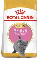 Royal Canin Feline Breed Nutrition British Shorthair Kitten 2 Kg Dry C at Food