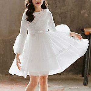 Kids Girls' Cute Solid Colored Mesh Lace Long Sleeve Knee-length Cotton Dress White miniinthebox
