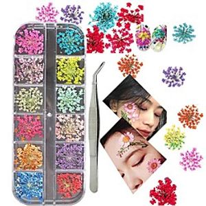 3D Nail Art Decoration Kits 24pcs 12 Colors Nail Dried Flowers Decals Curved Tweezers Polish Pressed Dry Flowers Water Decal Manicure Design Tools Set miniinthebox