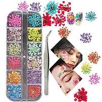 3D Nail Art Decoration Kits 24pcs 12 Colors Nail Dried Flowers Decals Curved Tweezers Polish Pressed Dry Flowers Water Decal Manicure Design Tools Set miniinthebox - thumbnail