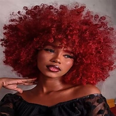 Afro Wigs for Black Women 10 inch Afro Curly Wig 70s Large Bouncy and Soft Natural Looking Full WIgs for Party Cosplay Afro Wig Lightinthebox