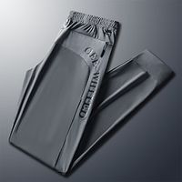 Men's Athletic Pants Active Pants GYM Pants Outdoor Daily Quick Dry Soft Comfortable Plain Full Length Fashion Casual Activewear Black Light Grey Stretchy Lightinthebox - thumbnail