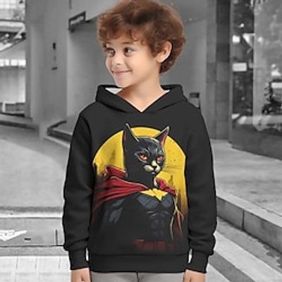 Boys 3D Cat Hoodie Pullover Long Sleeve 3D Print Spring Fall Fashion Streetwear Cool Polyester Kids 3-12 Years Hooded Outdoor Casual Daily Regular Fit Lightinthebox