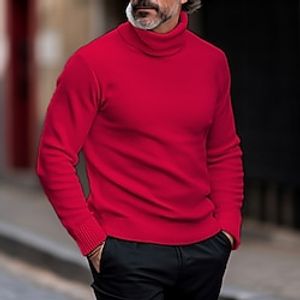 Men's Pullover Sweater Jumper Turtleneck Sweater Knit Sweater Ribbed Knit Regular Knitted Basic Plain Roll Neck Keep Warm Modern Contemporary Daily Wear Going out Clothing Apparel Fall Winter Black Lightinthebox