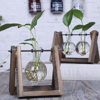 Transparent Glass Vases Hydroponic Plants Creative Gifts Home Living Room Crafts Decoration