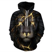 Mens 3D Printed Casual Sport Hoodies