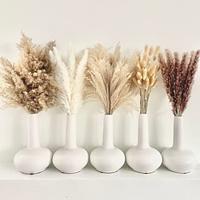 110 pcs Pampas With White Dried Rabbit Tail Flowers Boho Style Decoration Pampas Grass Bathroom Decoration Bathroom Wall Decor Wedding Vase For Bride And Bridesmaids Living Room Decoration Party Decor Lightinthebox