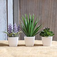 3pcs/Set of Artificial Lavender Mini Potted Plants - Realistic Faux Lavender Ensemble for Home and Office Decor Lightinthebox