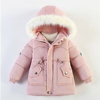 Toddler Girls' Children's Day Hoodie Jacket Solid Color Fashion V Neck School Coat Outerwear 3-7 Years Winter Black Pink Red Lightinthebox - thumbnail
