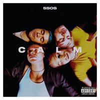 Calm | 5 Seconds Of Summer