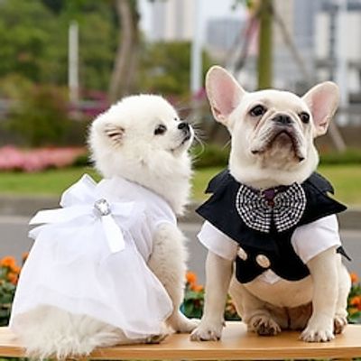 Dog Cat Suit Solid Colored Cat Fashion Cute Wedding Outdoor Dog Clothes Puppy Clothes Dog Outfits Soft Black Costume for Girl and Boy Dog Polyster S M L XL XXL 3XL miniinthebox