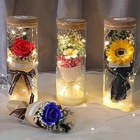 LED Lights, Dry Flowers, Valentine's Day Gifts, Birthday Gifts, Glass Covers, Eternal Flowers, Rose Bouquets, Perfect Gifts for Mother's Day and Thanksgiving Holidays Lightinthebox - thumbnail
