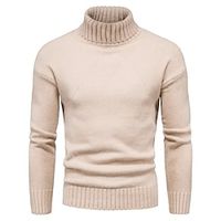 Men's Pullover Sweater Jumper Turtleneck Sweater Ribbed Knit Cropped Knitted Solid Color Turtleneck Keep Warm Modern Contemporary Work Daily Wear Clothing Apparel Winter Spring   Fall Green Black M Lightinthebox - thumbnail