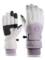 Velvet Thick Riding Equipment Waterproof And Cold-proof Warm Touch Screen Windproof Ski Gloves - thumbnail