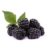 Fit Fresh Blackberry Pkt 125 G