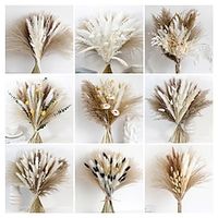 1pcs Valentine's Day Dried Reed Flower Bouquet Set Bohemian Pampas Rabbit Tail Whisk Eucalyptus. Lightinthebox - thumbnail