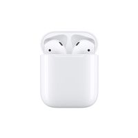 Apple AirPods 2 with Charging Case