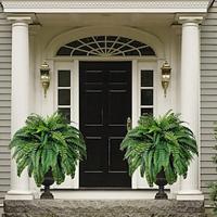 Growhabity Ferns, UV Resistant Lifelike Artificial Boston Fern, Artificial Ferns for Outdoors, Faux Ferns Fake Ferns Artificial Plants, Fake Boston Fern for Porch Window Home Decor(Needed 4 Bundle to fill a pot the size of the one in the AD) Lightinthebox