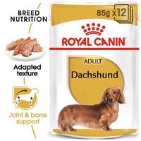 Royal Canin Breed Health Nutrition Dachshund Adult Wet Food Pouches For Dog Food