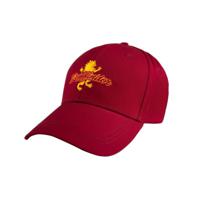 Cinereplicas Harry Potter Gryffindor Baseball Cap - thumbnail