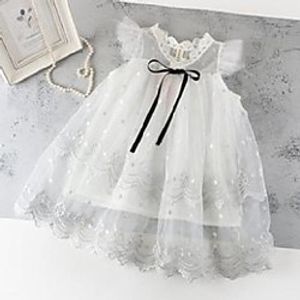 embroidery girl dress lace collar flare sleeve summer princess dresses baby clothes 2-7y 1580 b3 Lightinthebox