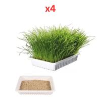 Trixie Cat Grass in Tray for Cats 100G (Pack of 4)