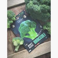 Quret Broccoli Beauty Recipe Mask