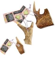 Green & Wilds Fallow Antler Dog Chew - Large