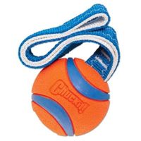 Petmate Chuckit! Ultra Bumper Tug Small Dog Toy