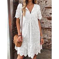 Women's White Dress Lace Dress Casual Dress Mini Dress Lace Eyelet Street Date Streetwear Basic V Neck Short Sleeve White Blue Fuchsia Color Lightinthebox