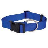 Petmate Nylon Adjustable Dog Collar 5/8 Inch X 10 - 16 Inch, Royal Blue