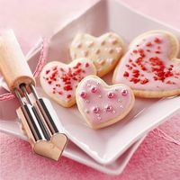 Stainless Steel Fruit Vegetable Biscuits Cutter