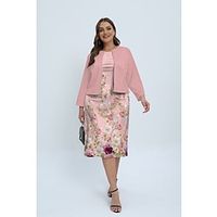 Women's Plus Size Curve Casual Dress Dress Set Two Piece Dress Floral Midi Dress Long Sleeve Print Crew Neck Fashion Outdoor Pink Fall Winter L XL XXL 3XL 4XL Lightinthebox - thumbnail