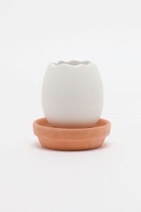Decorative Cress Egg  Ivory